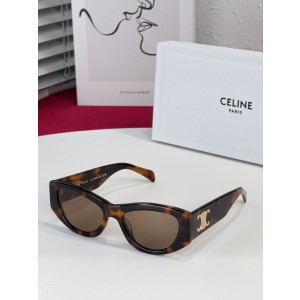 CELINE CL4S308U Triomphe 15