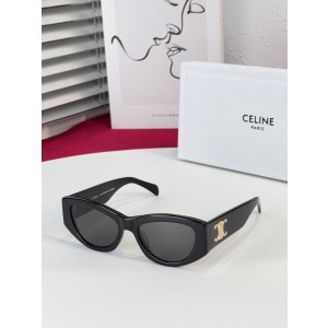 CELINE CL4S308U Triomphe 15