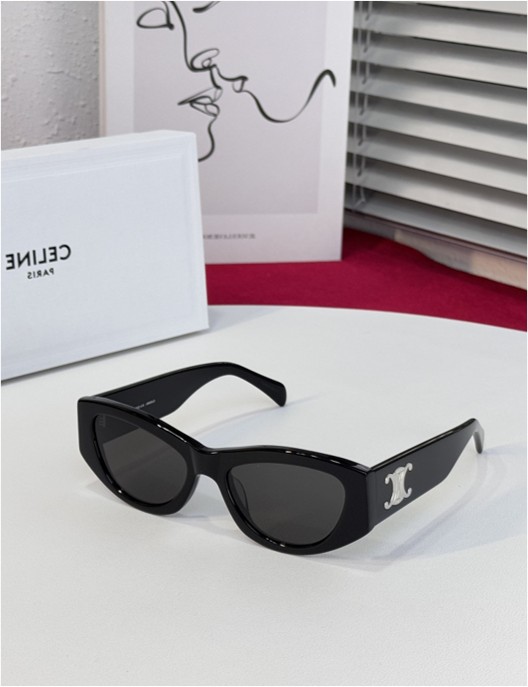 CELINE CL4S308U Triomphe 15