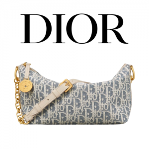 DIOR STAR 체인 호보