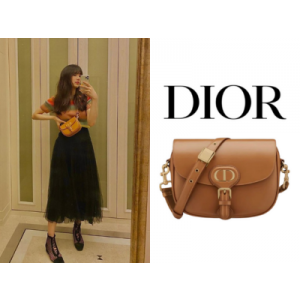 DIOR Bobby 미디엄 백