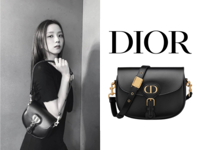 DIOR Bobby 미디엄 백