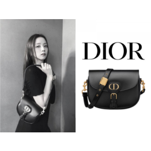 DIOR Bobby 미디엄 백