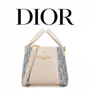 DIOR Signature 스몰 버킷백