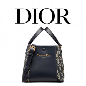 DIOR Signature 스몰 버킷백