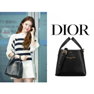 DIOR Signature 스몰 버킷백