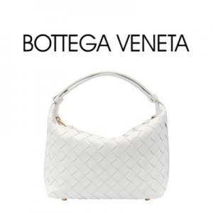 BOTTEGA VENETA 미니 윌리스백