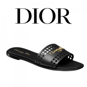 DIOR D-Lane 뮬
