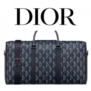 DIOR Lingot 50 트레블백