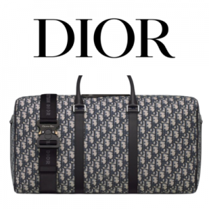DIOR Lingot 50 트레블백