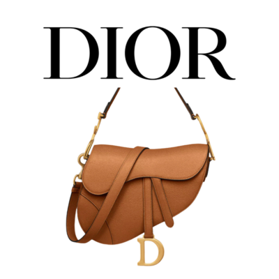 DIOR Saddle 스트랩백