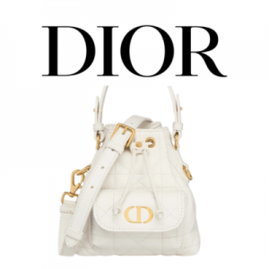 DIOR Caro 나노 버킷백