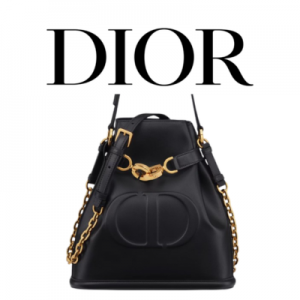 DIOR C'est Dior 미디엄 백