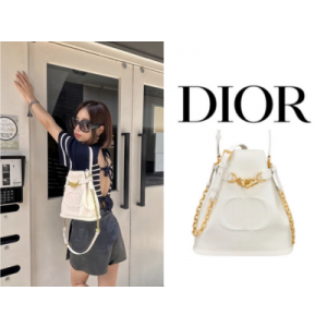 DIOR C'est Dior 미디엄 백
