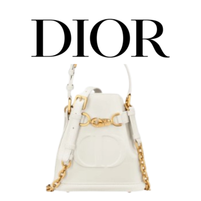 DIOR C'est Dior 스몰 백