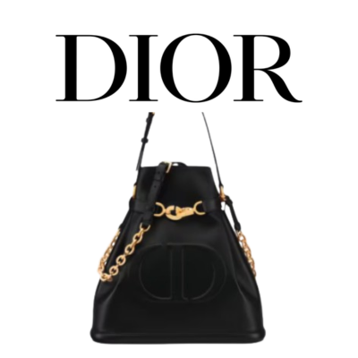 DIOR C'est Dior 스몰 백