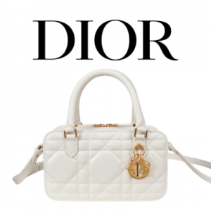DIOR 30 Montaigne 미니 닥터백