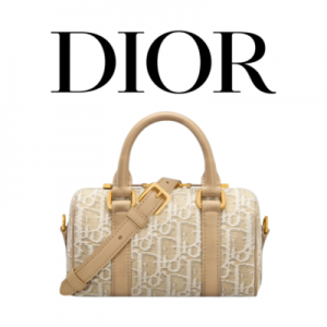 DIOR Groove 17 나노 백
