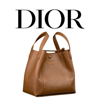 DIOR Signature 스몰 버킷백