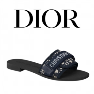 [225~270] DIOR Dio(r)evolution 뮬