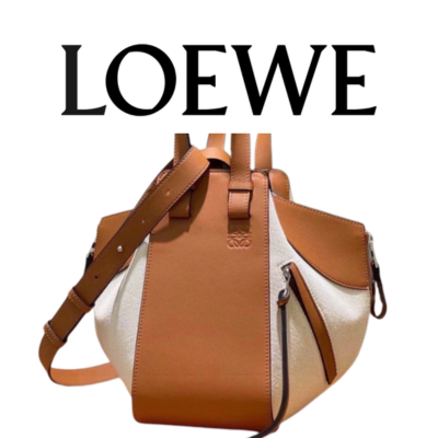 LOEWE 스몰 캔버스 해먹백