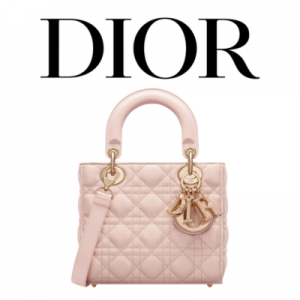 DIOR Lady Dior My ABCDior 스몰 백
